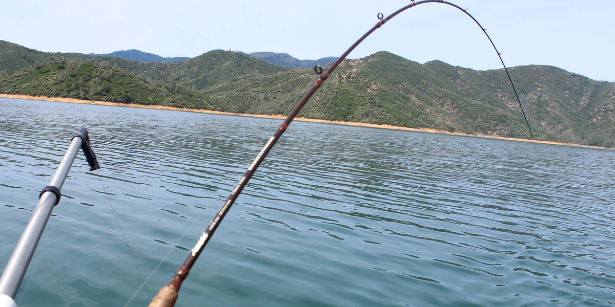 Hengels Winkel 1 Hengels Winkel -Hengels Winkel 3